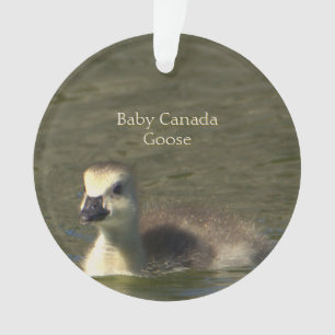Ornement photo de bébé Canada oie