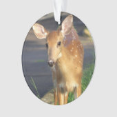 Ornement photo de cerf (devant)