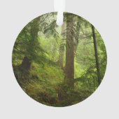 Ornement photo de la forêt tropicale olympique (dos)