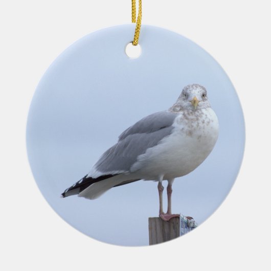 Ornement photo de mouette (Devant)