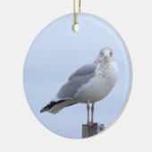 Ornement photo de mouette (Gauche)
