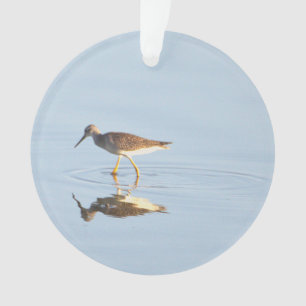 Ornement photo de réflexion des oiseaux marins