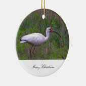 Ornement photo d'oiseaux Ibis (Droite)