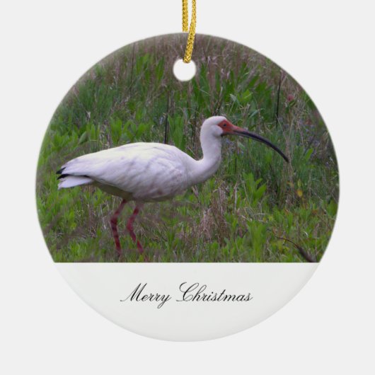 Ornement photo d'oiseaux Ibis (Devant)