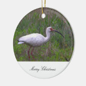 Ornement photo d'oiseaux Ibis (Gauche)