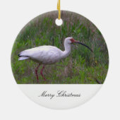 Ornement photo d'oiseaux Ibis (Dos)