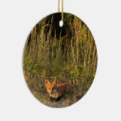 Ornement photo Fox (Droite)