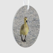Ornement photo Gosling (devant)
