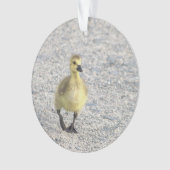 Ornement photo Gosling (devant)
