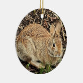 Ornement photo lapin (Droite)
