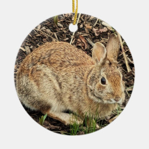 Ornement photo lapin