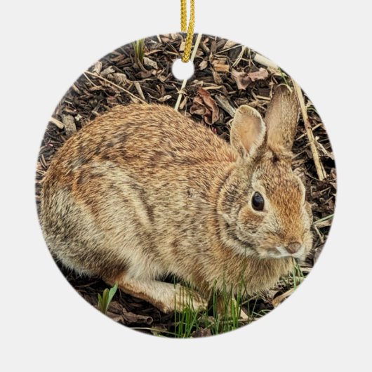 Ornement photo lapin (Devant)