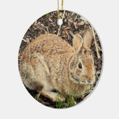 Ornement photo lapin (Gauche)