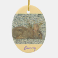 Ornement photo lapin