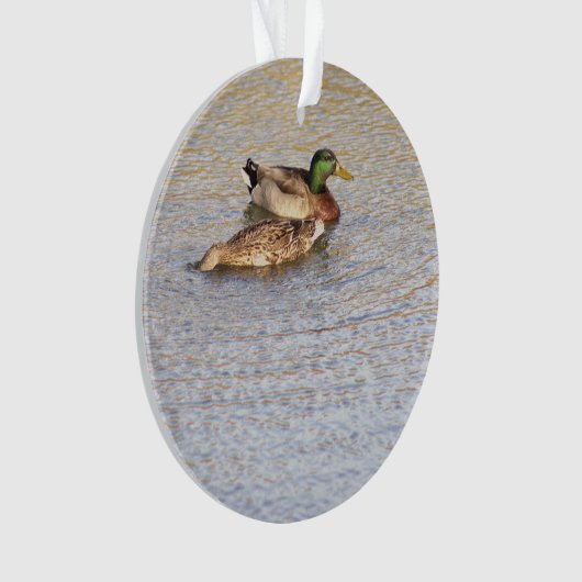 Ornement photo Mallard Ducks (devant)