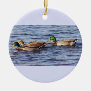 Ornement photo Mallard Ducks