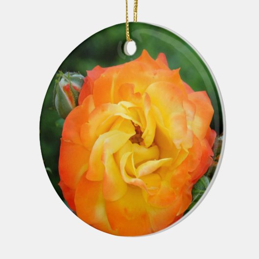 Ornement photo rose (Gauche)