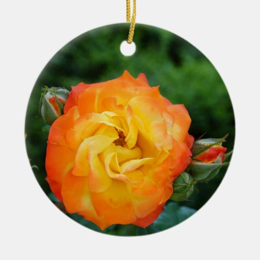 Ornement photo rose (Devant)