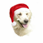 Ornement Photo Sculpture Golden Retriever<br><div class="desc">Cet ornement de Noël acrylique d'un chien de repérage d'or est livré avec un ruban rouge pour pendre. la taille finale est une approximation car elle varie en fonction de la coupe de l'image.</div>