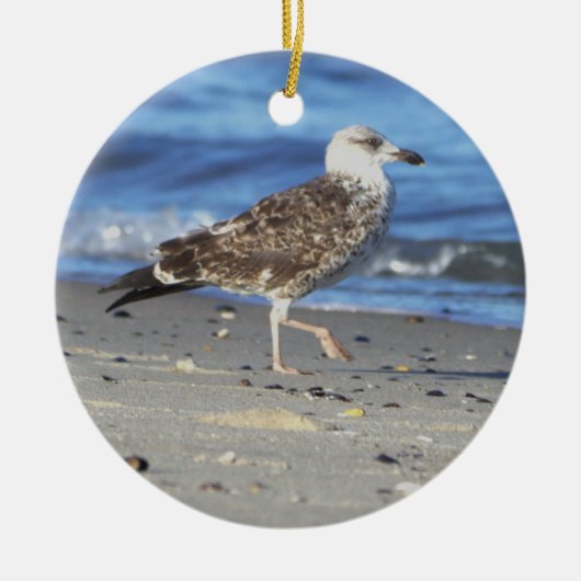 Ornement photo Seagull (Devant)