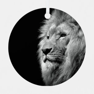 Ornement Portrait de Lion noir blanc - Photographie d'anima