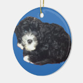 Ornement portugais de chien d'eau (Gauche)