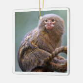 Ornement Pygmy Marmoset (Gauche)
