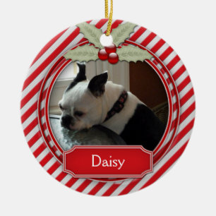 Ornement Rayure Bonbon de Noël pour animaux