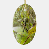 Ornement réuni de Noël d'araignée d'Argiope (Droite)