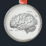 Ornement Rond Argenté Anatomie vintage de cerveau<br><div class="desc">Anatomie vintage de cerveau</div>