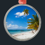 Ornement Rond Argenté Beach à Saona<br><div class="desc">Beach à Saona Dominican Republic.</div>