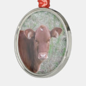 Ornement Rond Argenté Bébé Brown Vache visage (Gauche)