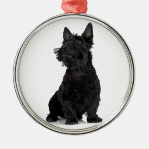 Ornement Rond Argenté Black Scottish Terrier