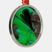 Ornement Rond Argenté Blue Damselfly on a green leaf. (Droite)