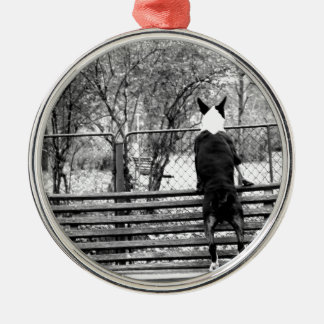 Ornement Rond Argenté Bull-terrier