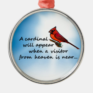 Ornement Rond Argenté Cardinal, visiteur de ciel
