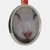 Ornement Rond Argenté Chat couché (Droite)