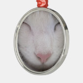 Ornement Rond Argenté Chat couché (Gauche)