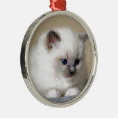 Ornement Rond Argenté Chaton de Ragdoll (Droite)