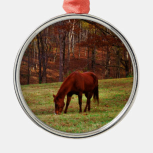 Ornement Rond Argenté Cheval Brown avec nez blanc au bord des bois