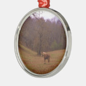 Ornement Rond Argenté Cheval Brown et blond dans un champ (Gauche)