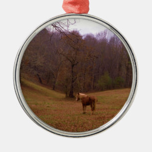 Ornement Rond Argenté Cheval Brown et blond dans un champ