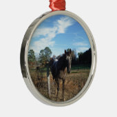 Ornement Rond Argenté Cheval brun Coco et Crème (Droite)