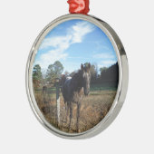 Ornement Rond Argenté Cheval brun Coco et Crème (Gauche)