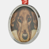 Ornement Rond Argenté Chien irlandais d'or observé par brun (Gauche)