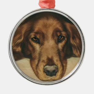 Ornement Rond Argenté Chien irlandais d'or observé par brun