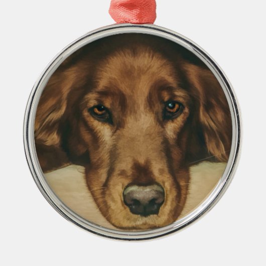 Ornement Rond Argenté Chien irlandais d'or observé par brun (Devant)