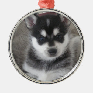 Ornement Rond Argenté Chiot d'Alaska de Klee Kai