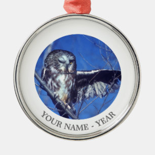 Ornement Rond Argenté Cligner de l'oeil le hibou