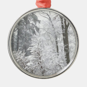 Ornement Rond Argenté Confections dans la neige —